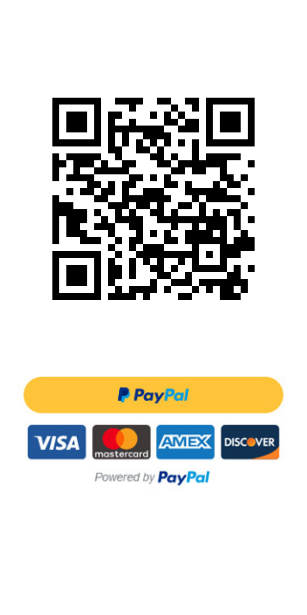 City Vectors PayPal QR Code